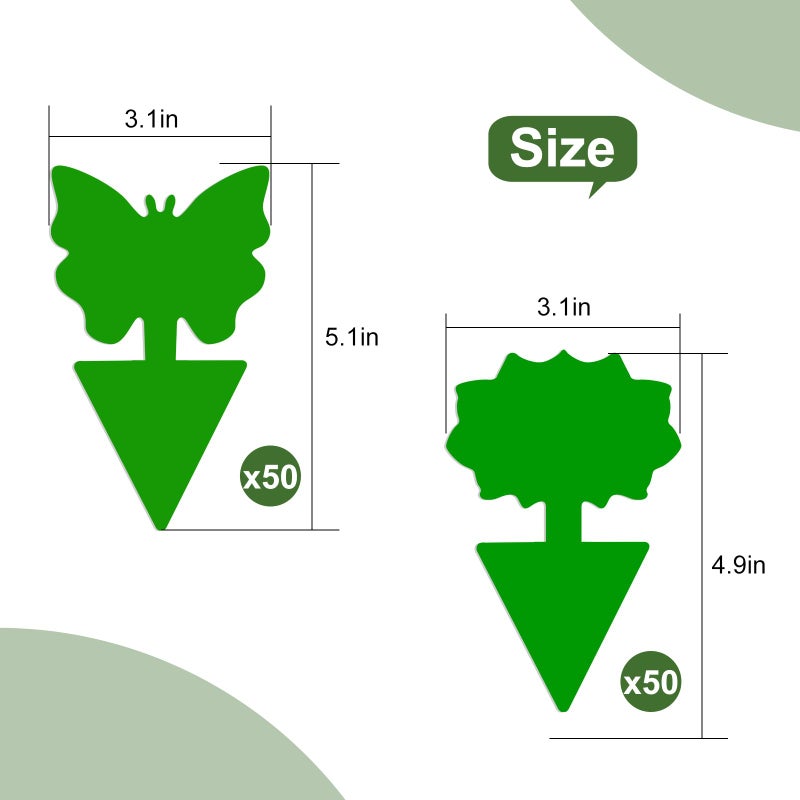 Boromine Fruit Fly Traps, 100 Pack Green Sticky Traps, Fungus Gnat Traps, Plant Fly Stickers for Indoor and Outdoor Use Protect The Plant - Image 2