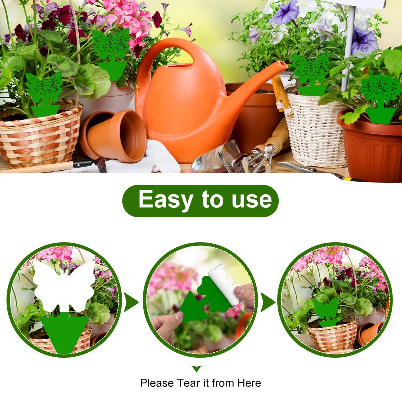 Boromine Fruit Fly Traps, 100 Pack Green Sticky Traps, Fungus Gnat Traps, Plant Fly Stickers for Indoor and Outdoor Use Protect The Plant - Image 3