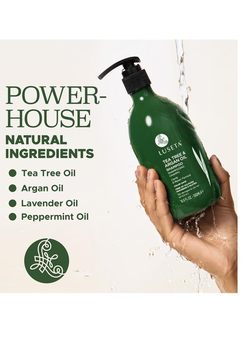 Luseta Luseta Tea Tree Shampoo with Argan Oil 16.9 Fl oz- Clarifying,Hydrating and Fighting Dandruff and Itchy Scalp - For Damaged and Oil Hair - Sulfate and Paraben Free for Men and Women  - Image 4