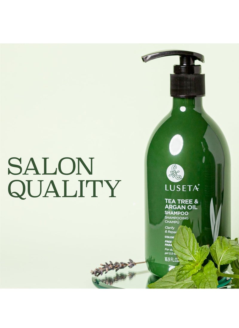 Luseta Luseta Tea Tree Shampoo with Argan Oil 16.9 Fl oz- Clarifying,Hydrating and Fighting Dandruff and Itchy Scalp - For Damaged and Oil Hair - Sulfate and Paraben Free for Men and Women  - Image 3