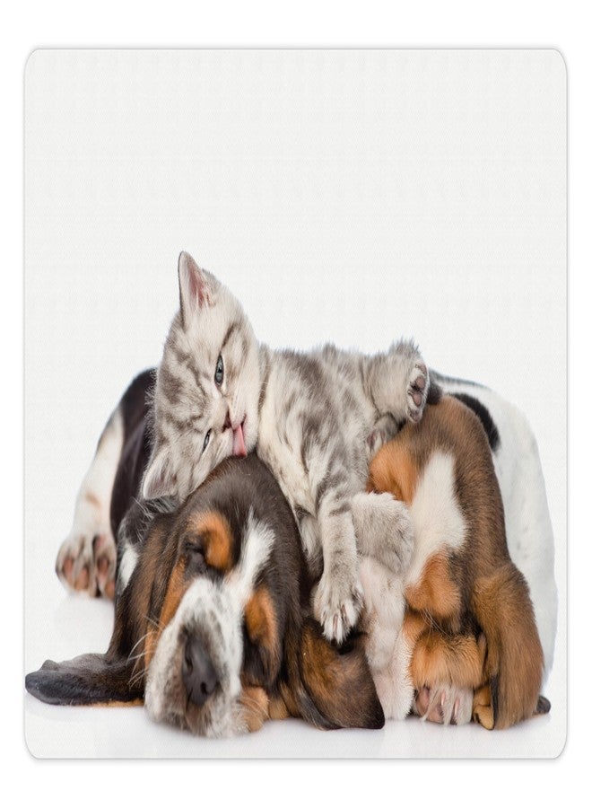 Lunarable Funny Pet Mat for Food and Water, Kitten Lying on The Puppies Basset Hound and Licks Sleeping Cuddle Picture, Non-Slip Rubber Mat for Dogs and Cats, 18" X 12", White Tan - Image 1