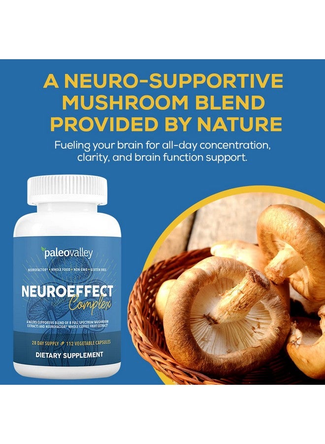 Paleovalley مكمل غذائي قهوة الفطر العصبي Neuroeffect لدعم التركيز والذاكرة والطاقة 28 يومًا من الإمدادات 8 مستخلصات فطر كاملة الطيف ومستخلصات فاكهة القهوة الكاملة - Image 4