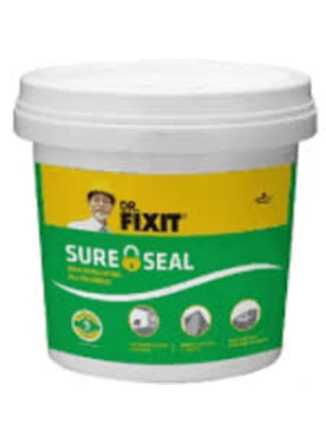 دكتور فيكس إت شور سيل 1 كجم، عازل مائي منزلي الصنع للرطوبة الخفيفة | إصلاح سريع للجدران الداخلية والخارجية، وإصلاح أسطح المنازل