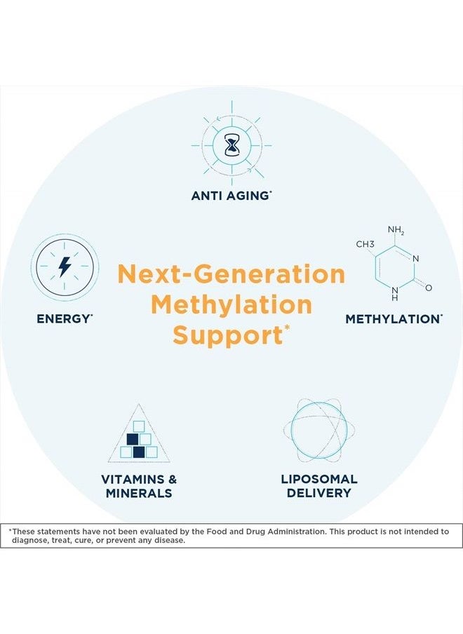 Methyl Charge - Methylation, Liver, Detox + Energy Supplement - Folate, Vitamin B12, Riboflavin, Vitamin B6 + TMG Supplement with Superior Absorption - Vegan B Vitamins (50ml) - pzsku/Z146EE54D7BFBD59121F6Z/45/_/1681610843/432b9a83-1d36-4664-8e8a-5e805f775026