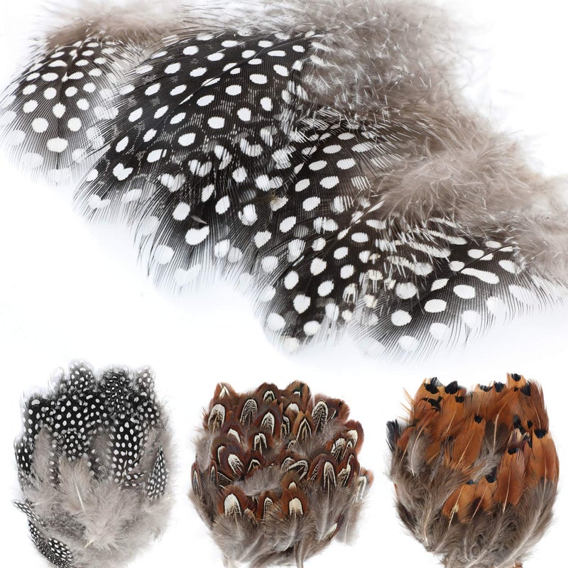 MWOOT 300 Assorted Chicken Spotted Feathers Natural Pheasant Feather for Crafts Various DIY Birthday Party Wedding Home Decorations
