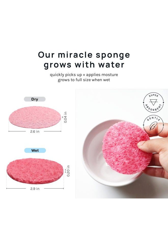 AOA Studio 50-Count Compressed Facial Sponges 100% Natural Cosmetic Spa Sponges for Facial Cleansing, Exfoliating Mask, Remove for Makeup, Dead Skin, and Dirt (50 counts, Pink) - Image 2