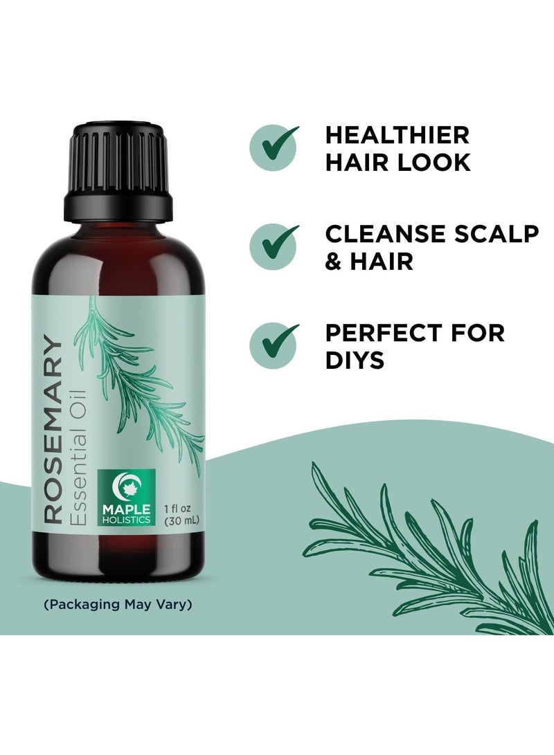 Maple Holistics Oil for Hair Growth - Undiluted Rosemary Essential Oil for Hair Skin and Nails and Refreshing Aromatherapy Oil for Diffusers - Cleansing Rosemary Essential Oil for Dry Scalp Care 1oz - Image 2