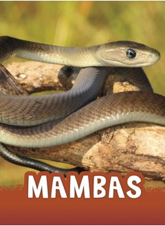 Mambas 
