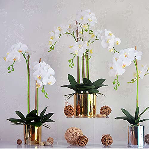 FagusHome 32" Artificial Phalaenopsis Flowers 6 Pcs Artificial Orchid Flowers Stem Plants for Home Décor (6Pcs) - Image 5