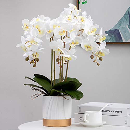 FagusHome 32" Artificial Phalaenopsis Flowers 6 Pcs Artificial Orchid Flowers Stem Plants for Home Décor (6Pcs) - Image 4