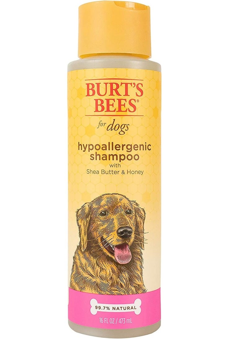بيرتس بيز شامبو بيرتس بيز الطبيعي المضاد للحساسية للكلاب بزبدة الشيا والعسل ، 16 أونصة - Image 1