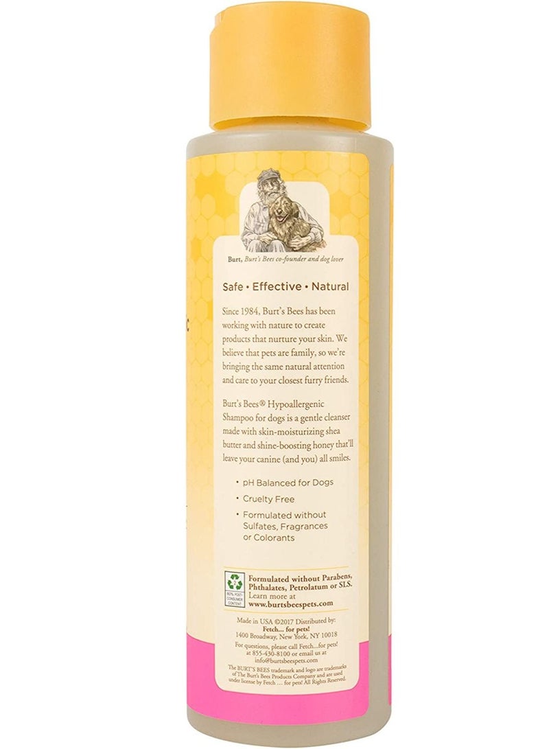 بيرتس بيز شامبو بيرتس بيز الطبيعي المضاد للحساسية للكلاب بزبدة الشيا والعسل ، 16 أونصة - Image 2