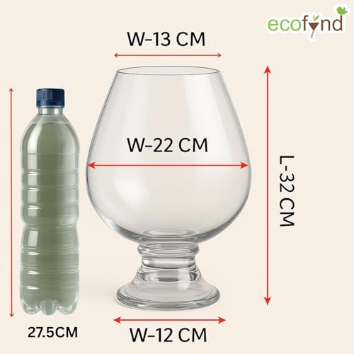 ecofynd Glass Vase for Flowers Plants, Modern Decorative Vase for Home Decor Center Table, Bedroom, Living Room, Office Decoration, Wedding or Gifts (GVASE004) - Image 2