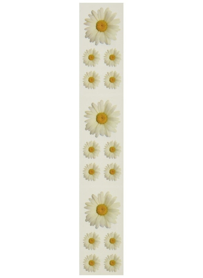 Paper House Productions St2011E Photo Real Stickypix Stickers 2Inch By 4Inch Oxeye Daisy (6Pack) - Image 1