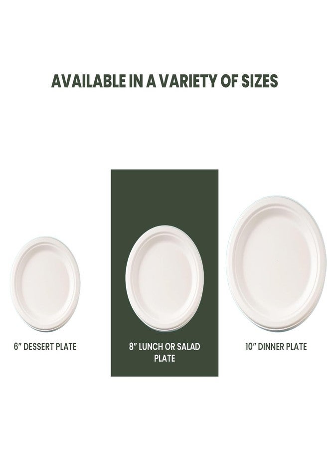 FPN Round Compostable Plates 8 Inch 125 Count Heavy Duty Disposable Plates | Sugarcane Biodegradable Paper Plates, Microwave & Freezer Safe for Parties, Weddings, Catering & Daily Meals - Image 3