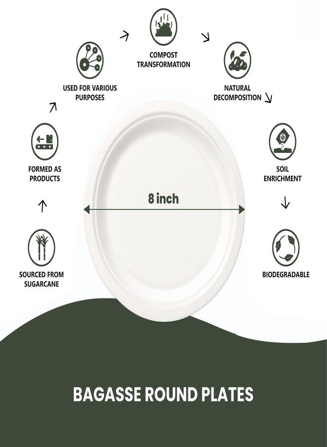 FPN Round Compostable Plates 8 Inch 125 Count Heavy Duty Disposable Plates | Sugarcane Biodegradable Paper Plates, Microwave & Freezer Safe for Parties, Weddings, Catering & Daily Meals - Image 2