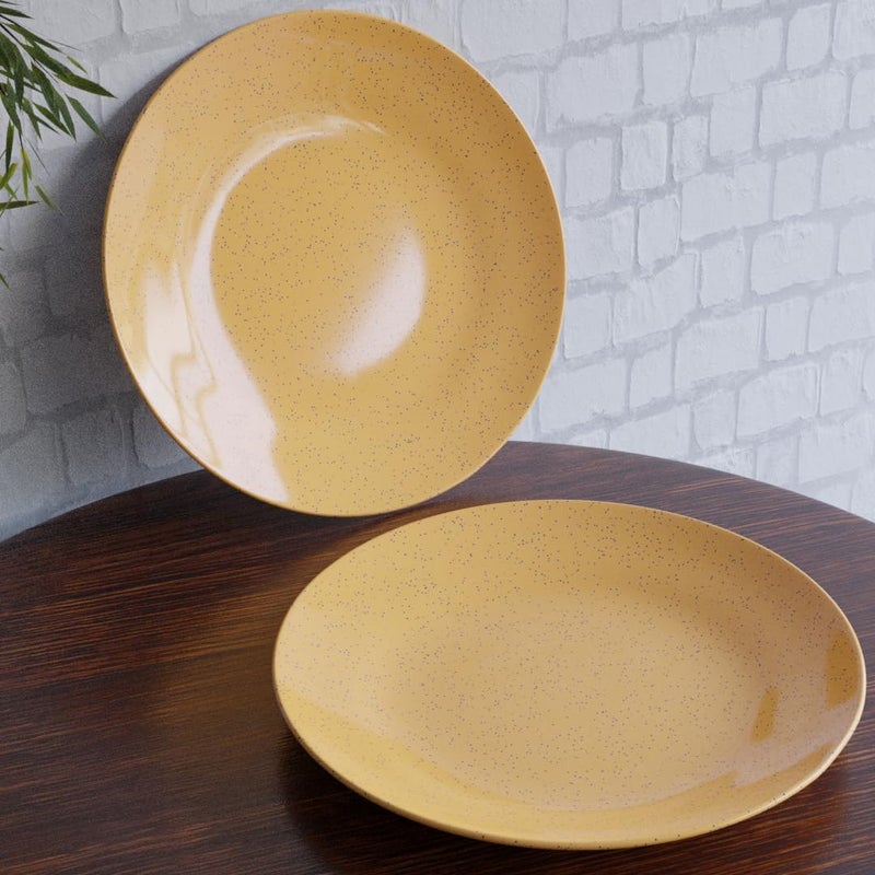 The Earth Store Handcrafted Mustard Marble 2 Piece -10 Inch Ceramic Dinner Plates Microwave & Dishwasher Safe Ceramic Plates for Dinner | Full Plates Set of 2 | Dinner Full Plates - Image 4