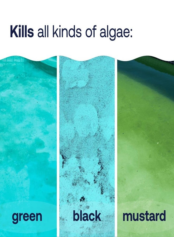 HTH 67244 Swimming Pool Care Algae Guard Ultra - Long Lasting Formula, Eliminates & Prevents Green, Black, and Mustard Algae, Fast Acting & Effective Swimming Pool Chemical, 32oz - Image 2
