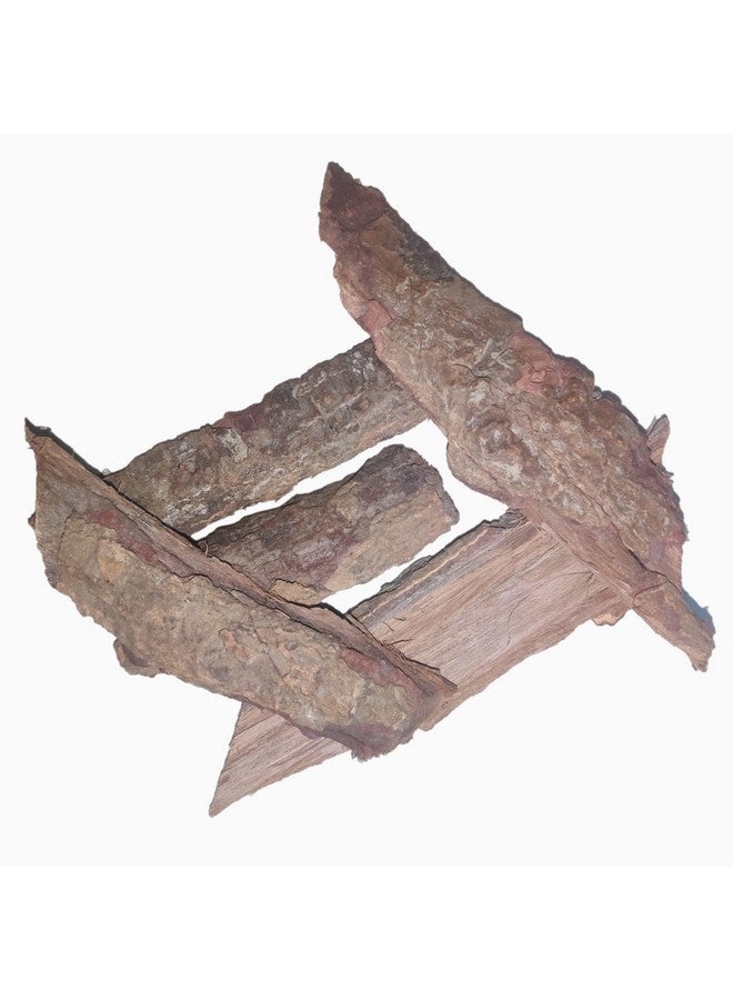 Kartik Export Dry Ashok Chaal, Saraca Ashoka Bark, Ashoka Chhal For Women Health - Jar Pack (350 Grams) - Image 3