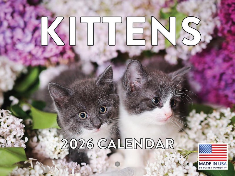 Poster Foundry Kitten Calendar 2026 Cat Kitty Gifts Monthly Wall Calender 12 Month | American Made In The USA - Image 1