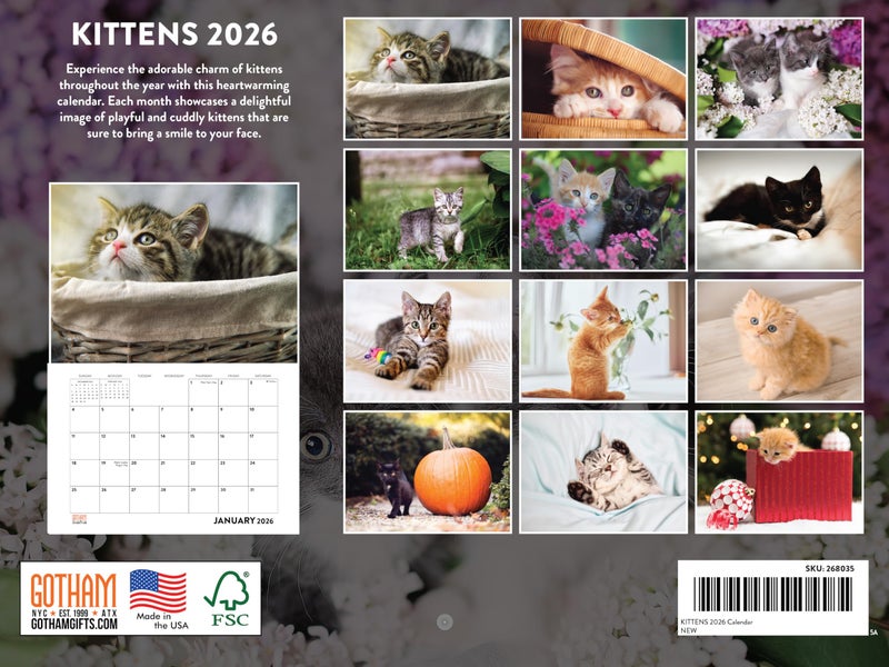 Poster Foundry Kitten Calendar 2026 Cat Kitty Gifts Monthly Wall Calender 12 Month | American Made In The USA - Image 2