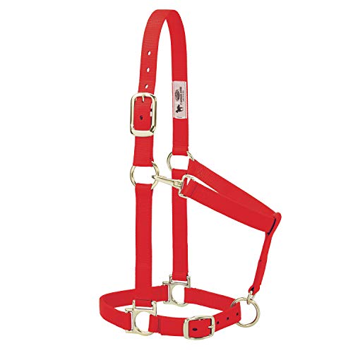 Weaver Leather Basic Adjustable Nylon Halter, Red, 1" Small Horse - Image 1
