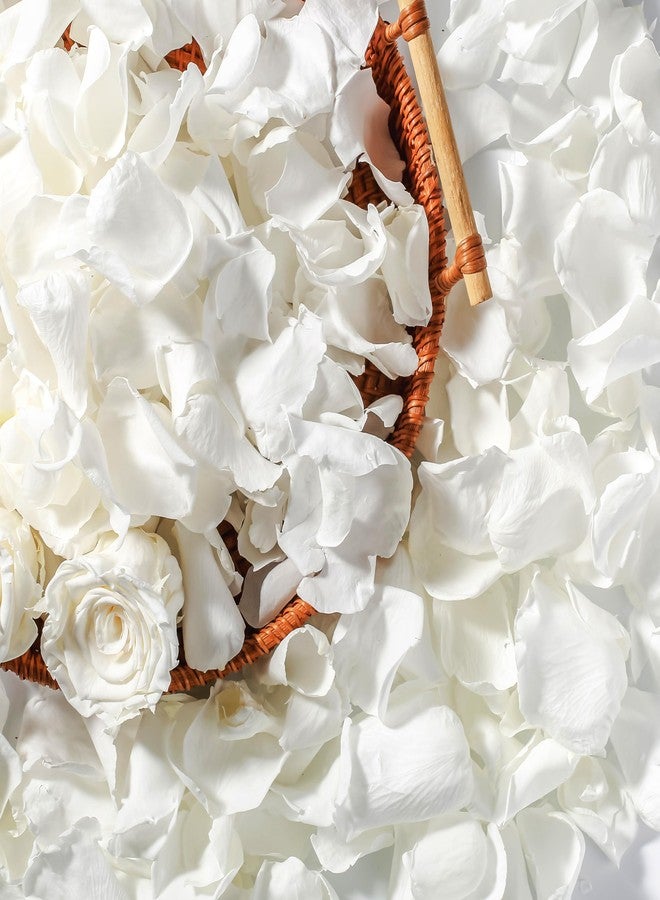 Eslibin Real Dried Ivory White Rose Petals, Frozen Preserved Petals for, Wedding Party Decorations, Bio Confetti, Table Centerpieces, Bridal Shower, 1.58 oz / 45 g - Image 1