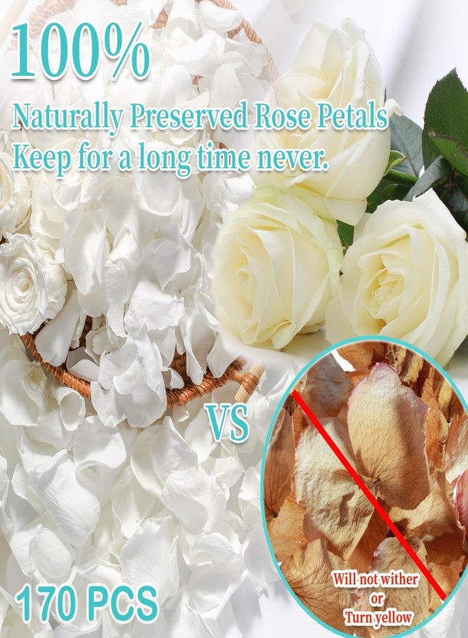 Eslibin Real Dried Ivory White Rose Petals, Frozen Preserved Petals for, Wedding Party Decorations, Bio Confetti, Table Centerpieces, Bridal Shower, 1.58 oz / 45 g - Image 2