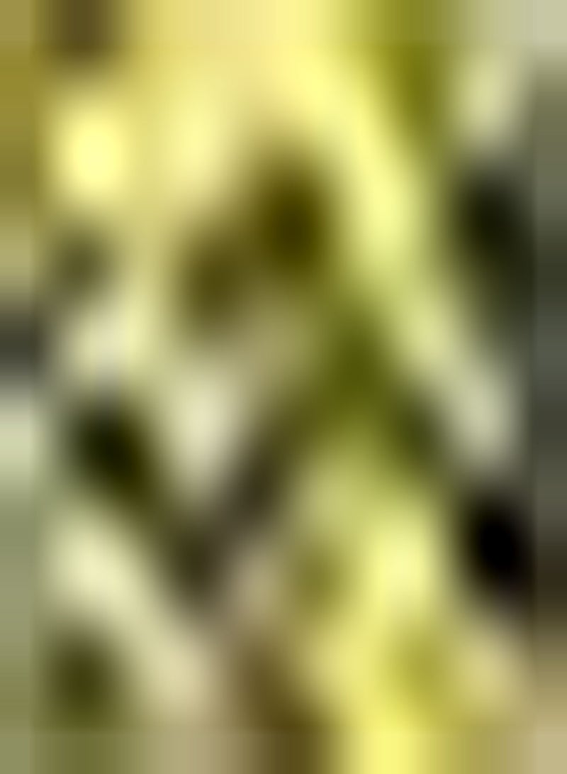 GGOOT 50pcs Yellow Albizia Seeds Easy to Care for Planting Planted at Home or On The Table to Give People A Day of Relaxation Add Fun - Image 2