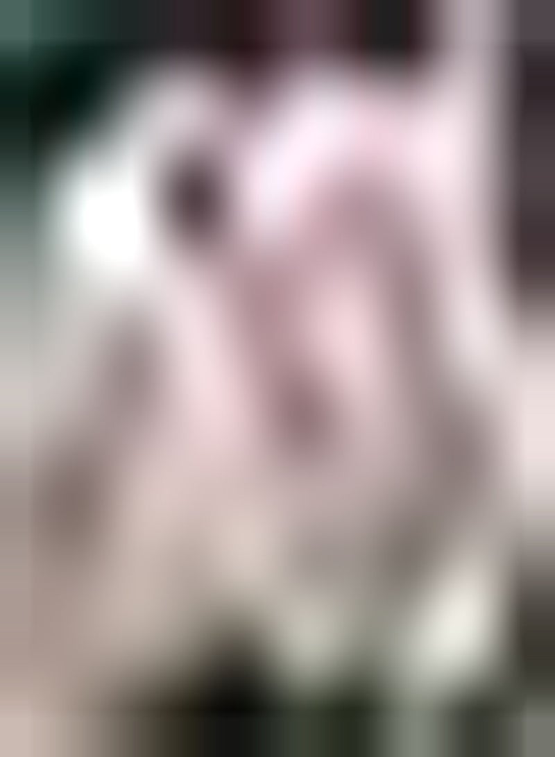 GGOOT 10pcs Roze Tulpenbollen Ingemaakte Bloembollen Onregelmatige Vorm Bloemblaadjes Geweldige Keuze voor Tuinieren Decoratie Charmante Aroma Snel Groeiende - Image 1