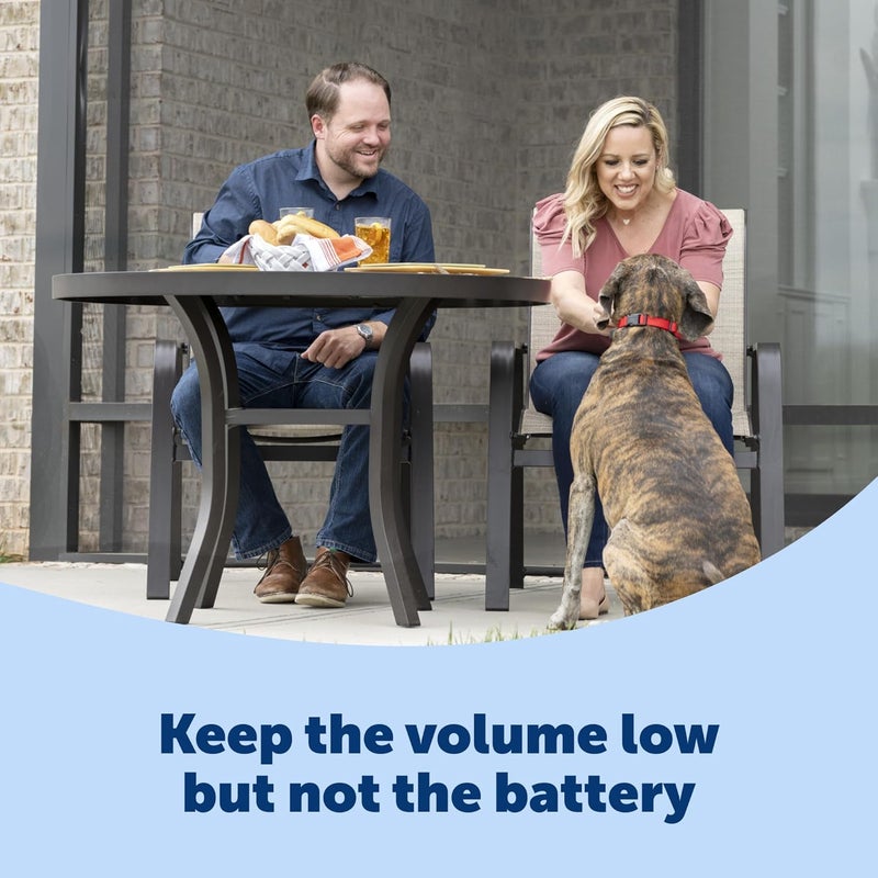 PetSafe Basic Bark Control Collar for Dogs - Waterproof Anti-Bark Training Device with Static Correction - Image 5