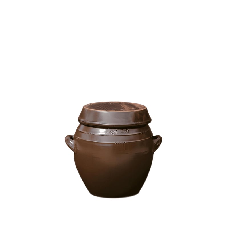 BALWOO Earthenware Onggi Korean Traditional Clay Jar Ceramic Canister/Handmade Food Sauce Storage Container for Tea, Coffee Bean, Salt/Breathing Clay Pot Kimchi Fermentation Crock (7L(1.8 gal)) - Image 1