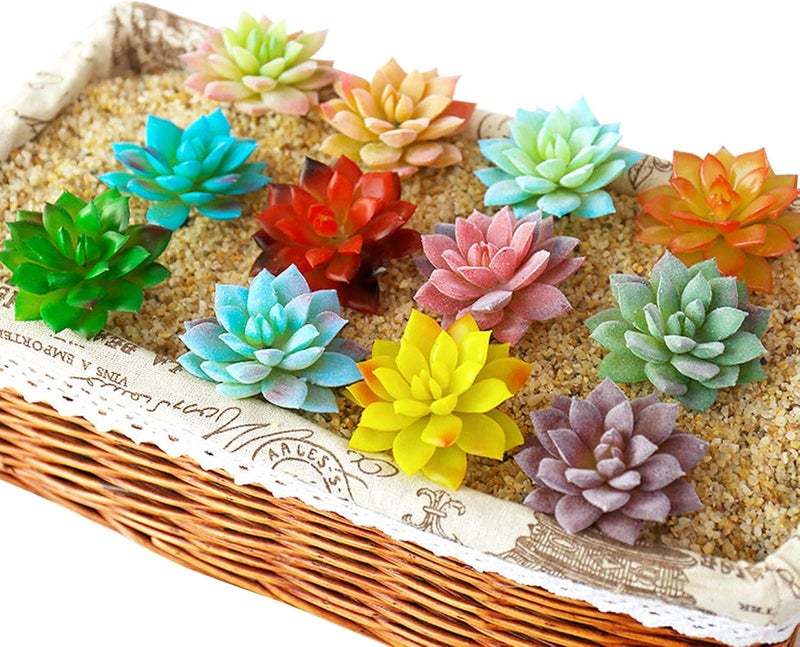 Cayway 20 PCS Artificial Succulent Plants Assorted Multicolor Faux Fake Succulents, Cactus Aloe Succulent Assortment in Flocked in Different Type for Birthday Home Decor Indoor Garden DIY - Image 4