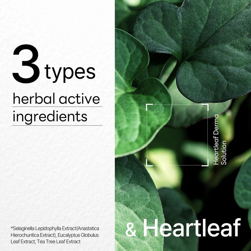 Mediheal Dermaplus Heartleaf Mask (10 Counts) - Daily Vegan Mask for Soothing Skin with Panthenol & Hyaluron, Korean Self Skin Care Sheet Mask - Image 5