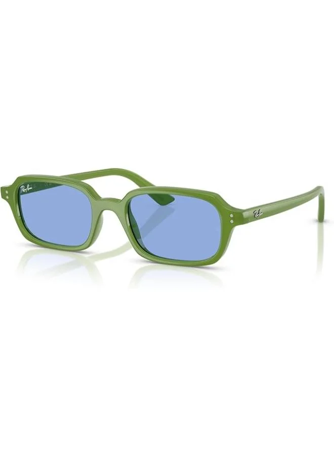 Ray-Ban 0RB4455 round Sunglasses