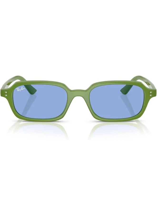 Ray-Ban 0RB4455 round Sunglasses