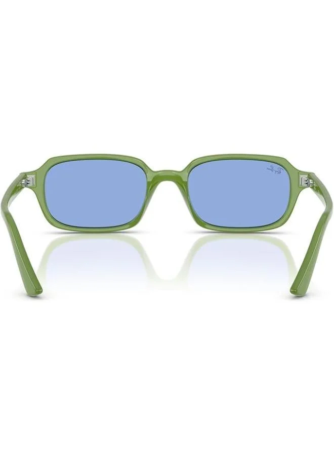 Ray-Ban  0RB4455 round Sunglasses for Men | Best Price UAE