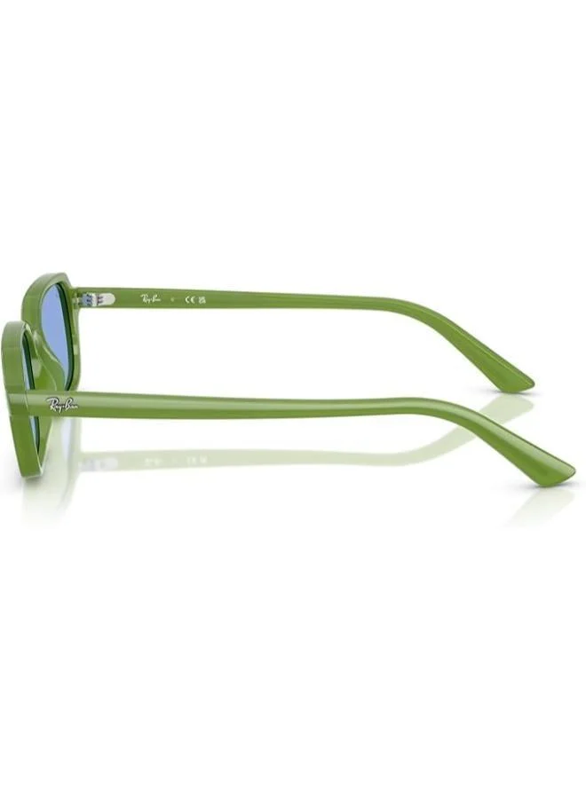 Ray-Ban  0RB4455 round Sunglasses for Men | Best Price UAE