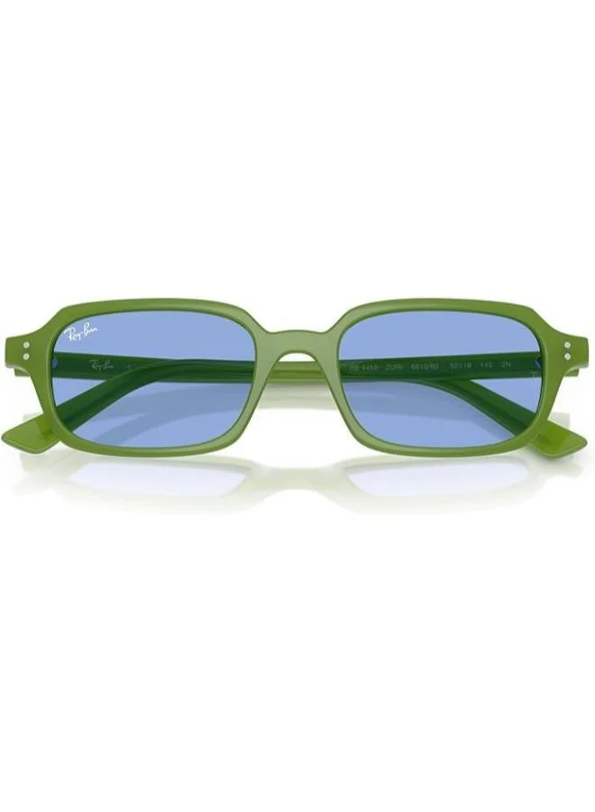Ray-Ban  0RB4455 round Sunglasses for Men | Best Price UAE