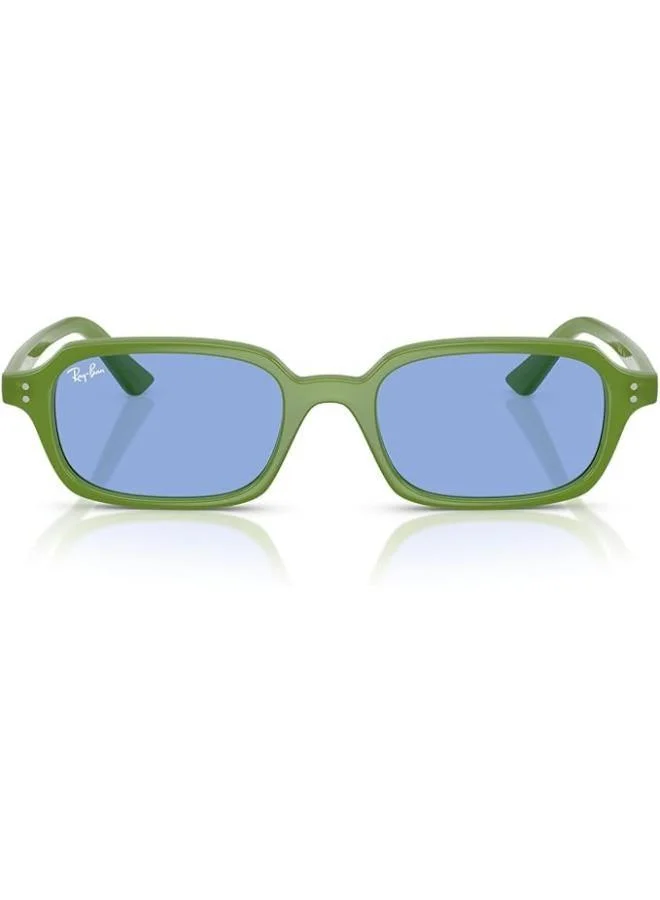 Ray-Ban 0RB4455 round Sunglasses