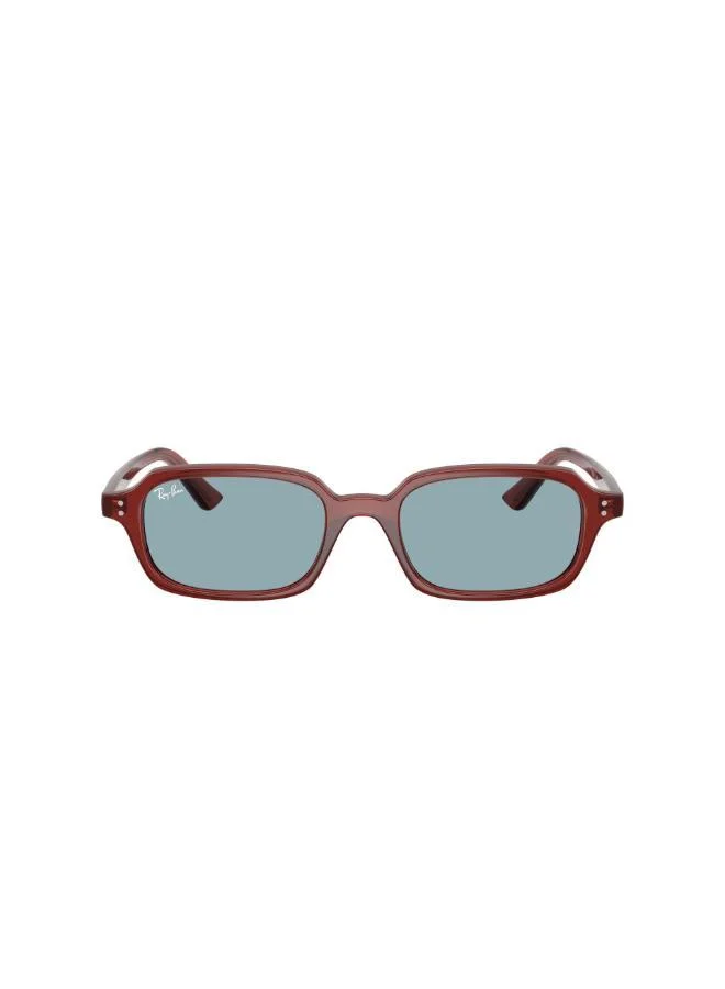 Ray-Ban 0RB4455 round Sunglasses