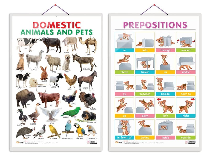 GoWoo Set of 2 Domestic Animals and Pets and PREPOSITIONS Early Learning Educational Charts for Kids | 20"X30" inch |Non-Tearable and Waterproof | Double ... Kindergarten and Nursery Students - Image 1