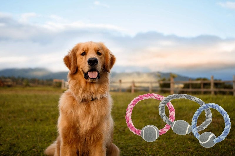 Trixie Pet Playing Ring Rope Toy with Tennis Ball for Dogs, Cotton/Polyester Material, Dog Chew Toy, Interactive Rope Dog Toy, Dental Hygiene (Get Any 1 Color) - 1pc - Image 4