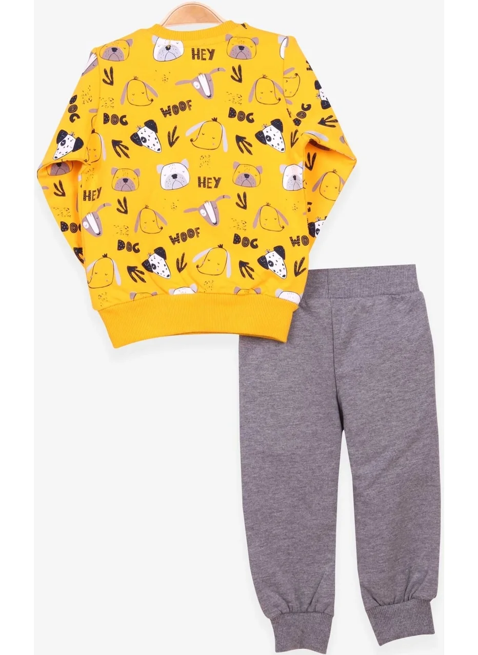 بريز Boys Tracksuit Suit Print Patterned Yellow (1-4 Years)