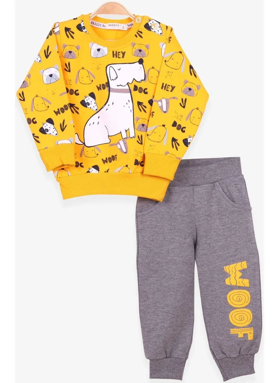 بريز Boys Tracksuit Suit Print Patterned Yellow (1-4 Years)