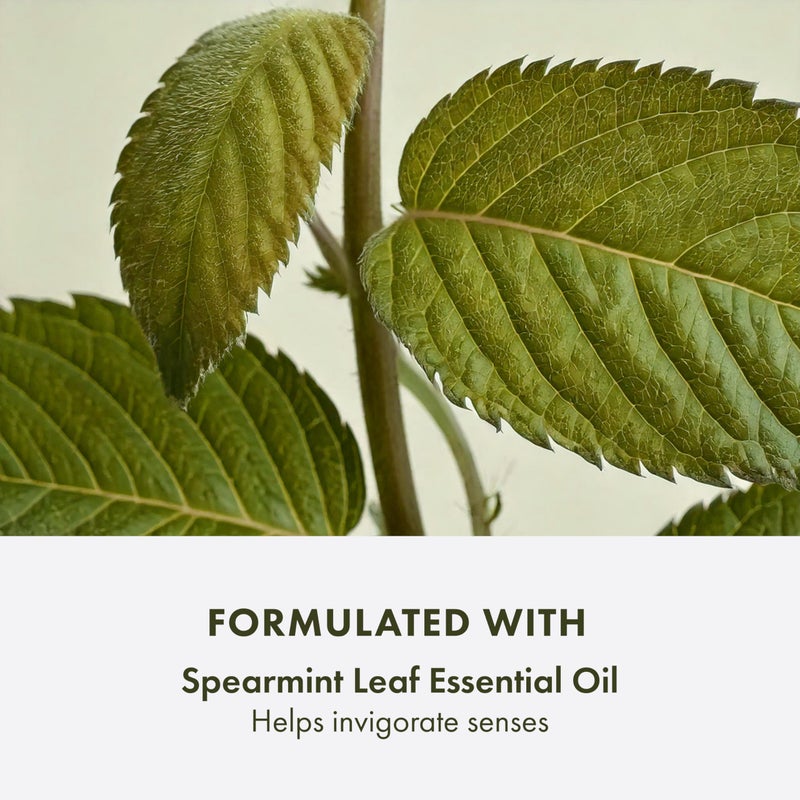 Origins Checks and Balances Frothy Face Wash | Gentle Face Cleanser for All Skin Types | With Mint, 8.5 Fl Oz - Image 5