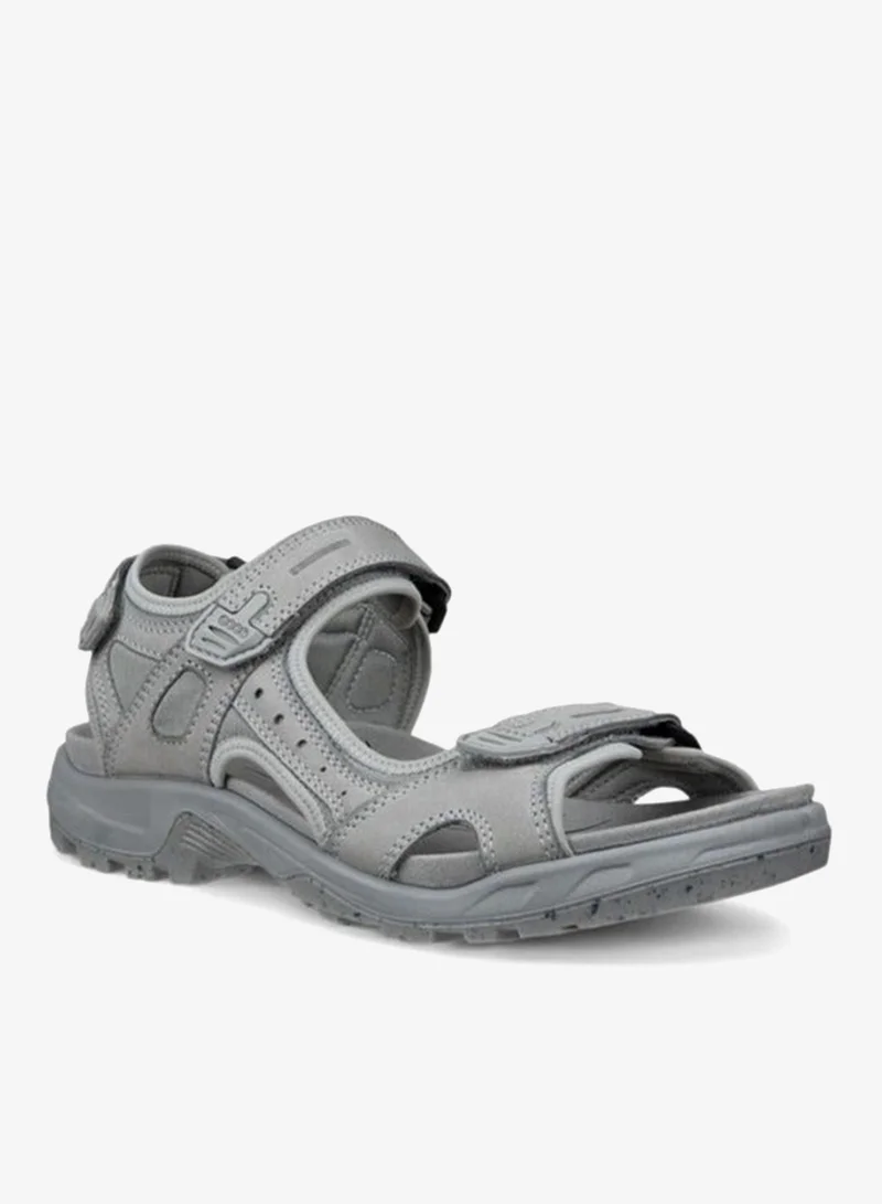 إيكو إيكو أوف رود دوف بري