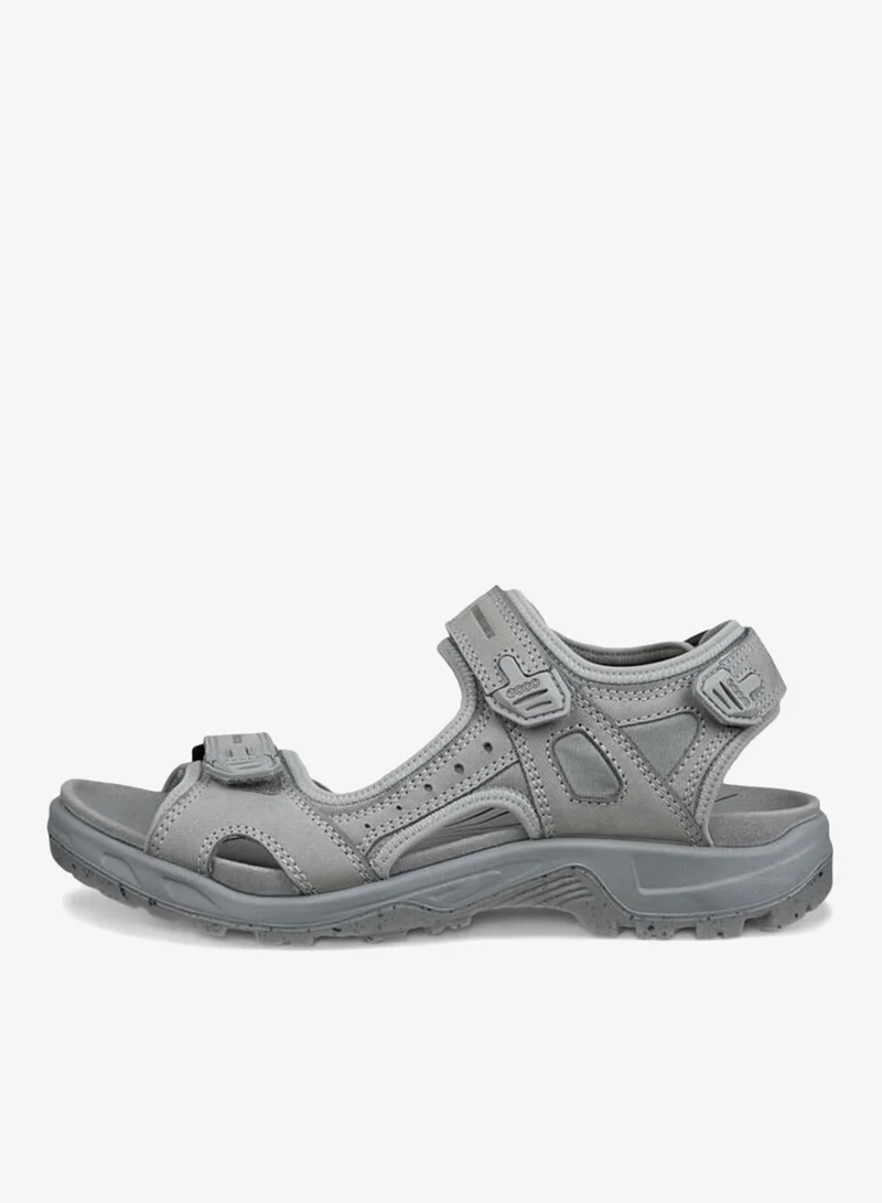 إيكو إيكو أوف رود دوف بري