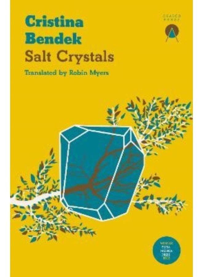 Salt Crystals - Paperback