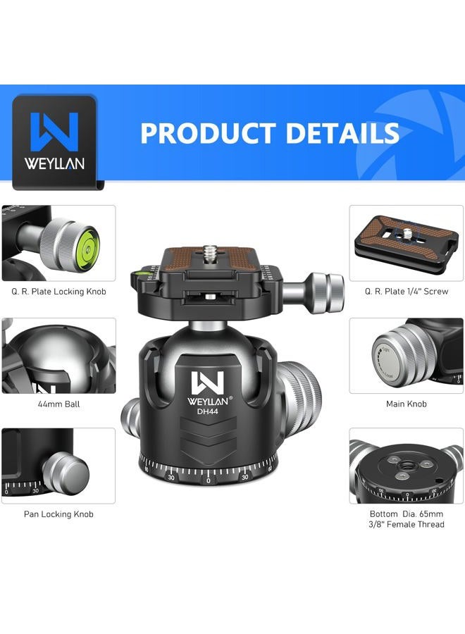 WEYLLAN 44mm Low Profile Ball Head Tripod Head DH44, Metal 360 Degree Panoramic Tripod Camera Ball Head Mount, with Two Quick Release Plates for Tripod Monopod DSLR Camera Max Load 55lbs/25kg - Image 2